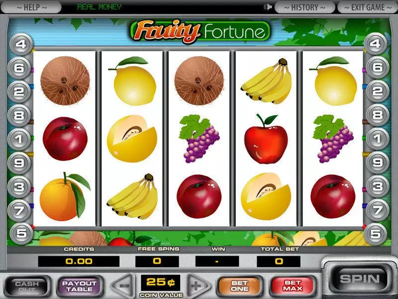 5-Reel Fruity Fortune Slots made by DGS - Main Screen Reels