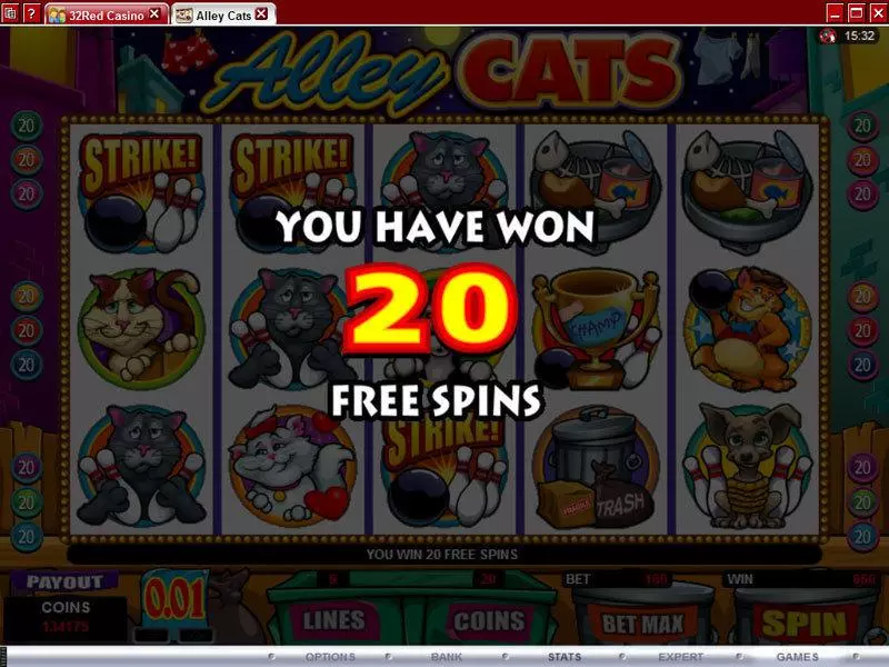 Alley Cats Slots made by Microgaming - Bonus 1