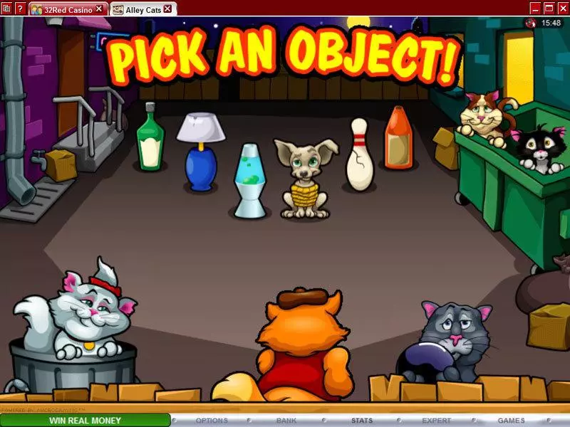 Alley Cats Slots made by Microgaming - Bonus 2