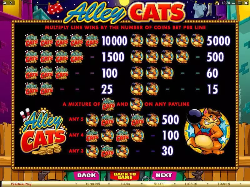 Alley Cats Slots made by Microgaming - Info and Rules