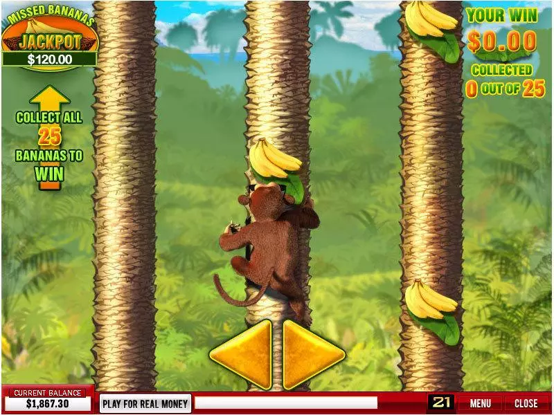 Banana Monkey Slots made by PlayTech - Bonus 2