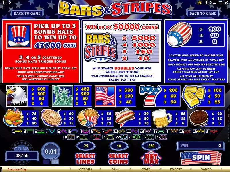 Bars and Stripes Slots made by Microgaming - Info and Rules