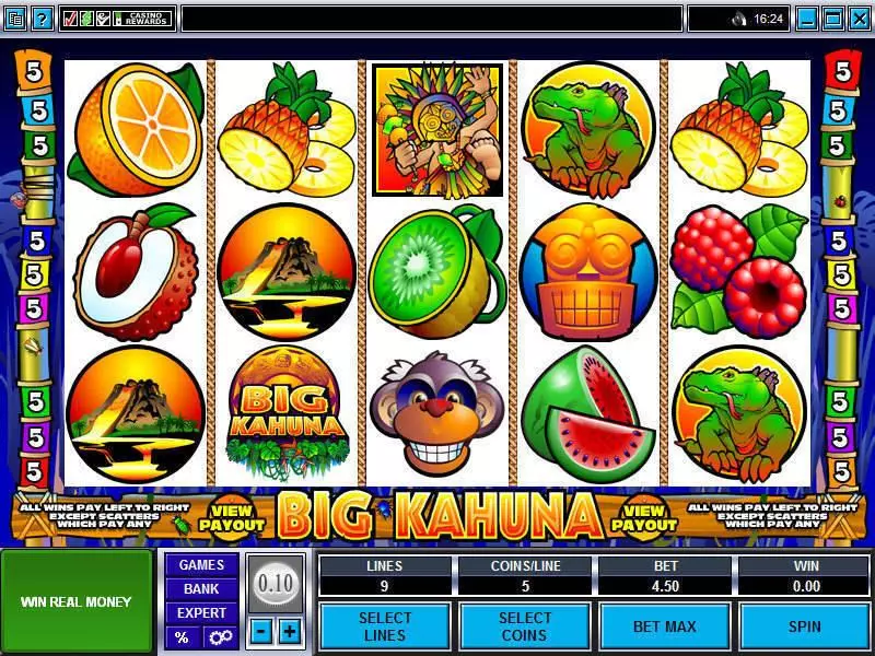 Big Kahuna Slots made by Microgaming - Main Screen Reels