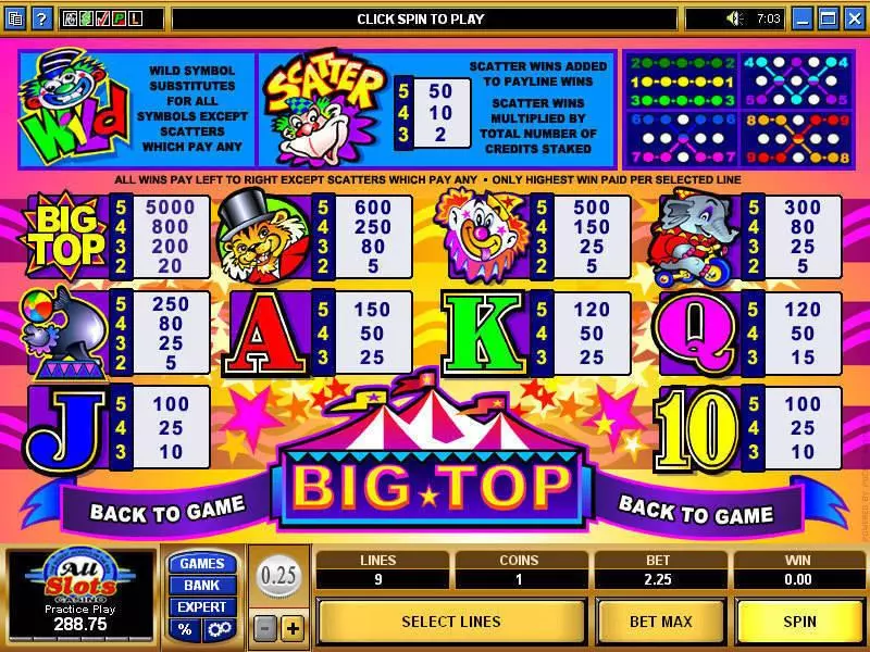 Big Top Slots made by Microgaming - Info and Rules