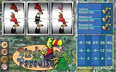 Birds of Paradise 3-Reels Slots made by Vegas Technology - Main Screen Reels