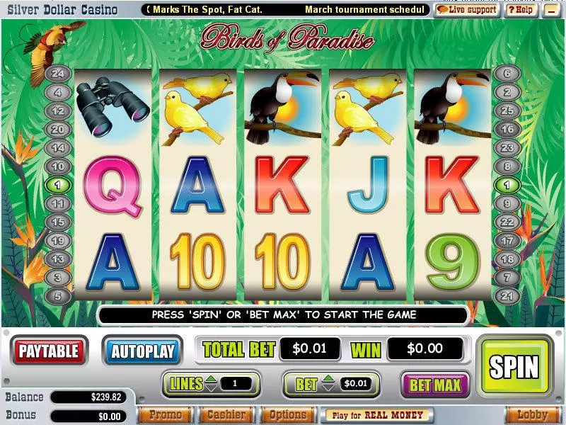 Birds of Paradise Slots made by WGS Technology - Main Screen Reels