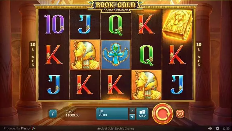 Book of Gold: Double Chance Slots made by Playson - Main Screen Reels
