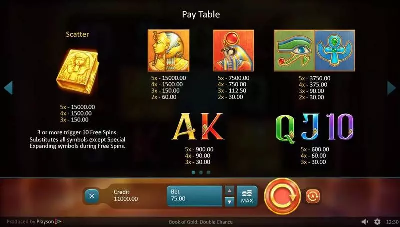 Book of Gold: Double Chance Slots made by Playson - Paytable