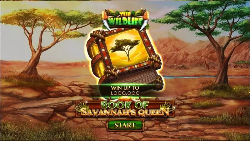 Book Of Savannah’s Queen Slots made by Spinomenal - Introduction Screen
