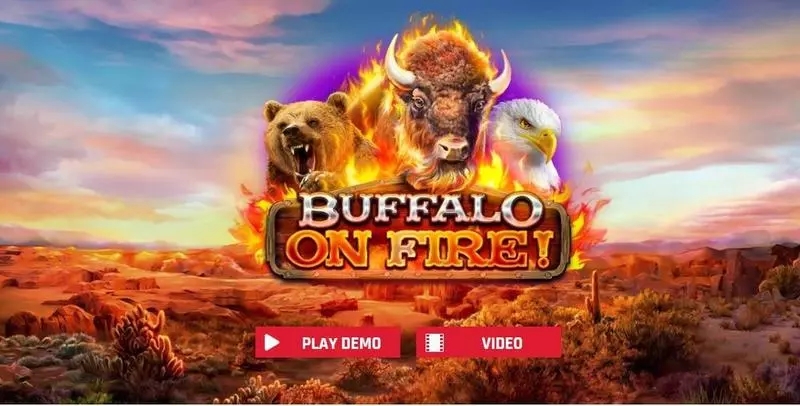 Buffalo On Fire! Slots made by Red Rake Gaming - Introduction Screen