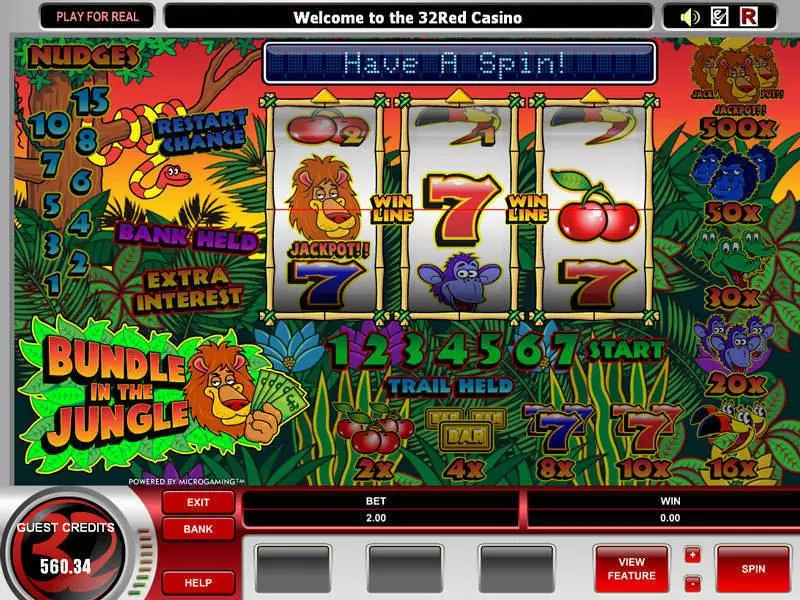 Bundle in the Jungle Slots made by Microgaming - Main Screen Reels