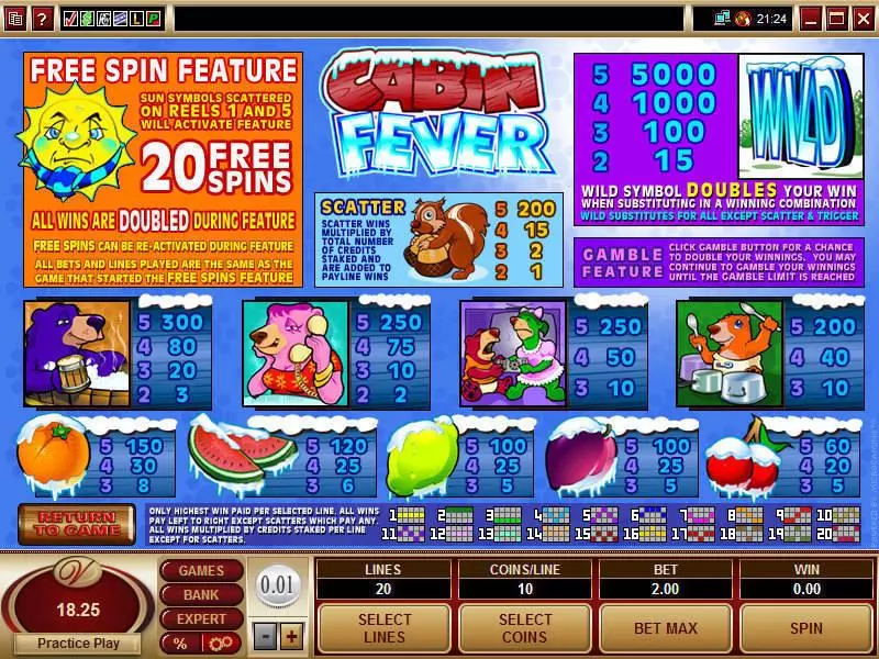 Cabin Fever Slots made by Microgaming - Info and Rules