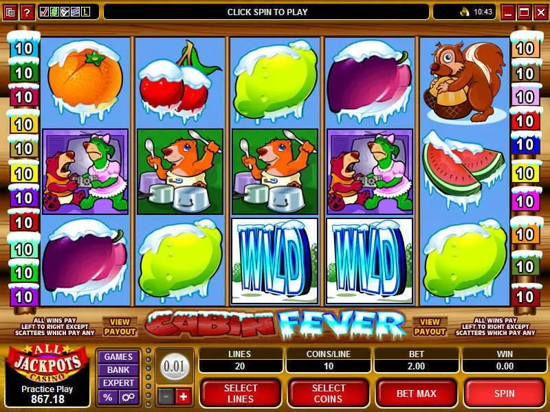 Cabin Fever Slots made by Microgaming - Main Screen Reels