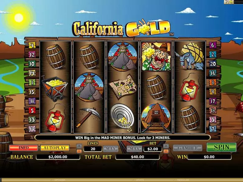California Gold Slots made by Microgaming - Main Screen Reels