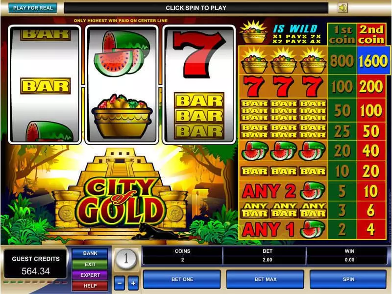 City of Gold Slots made by Microgaming - Main Screen Reels