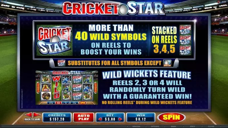 Cricket Star Slots made by Microgaming - Info and Rules