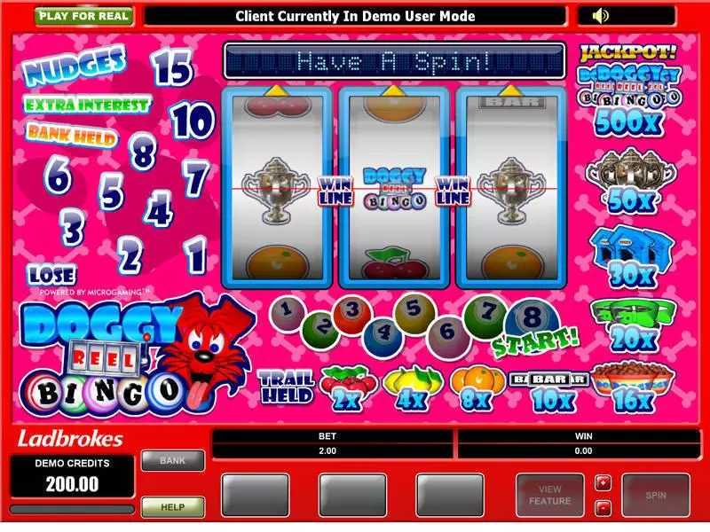 Doggy Reel Bingo Slots made by Microgaming - Main Screen Reels