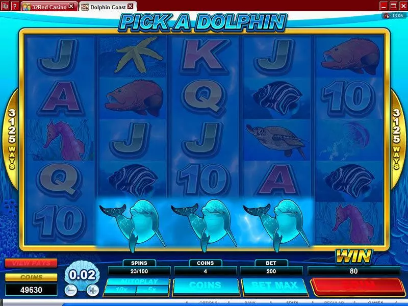 Dolphin Coast Slots made by Microgaming - Bonus 1