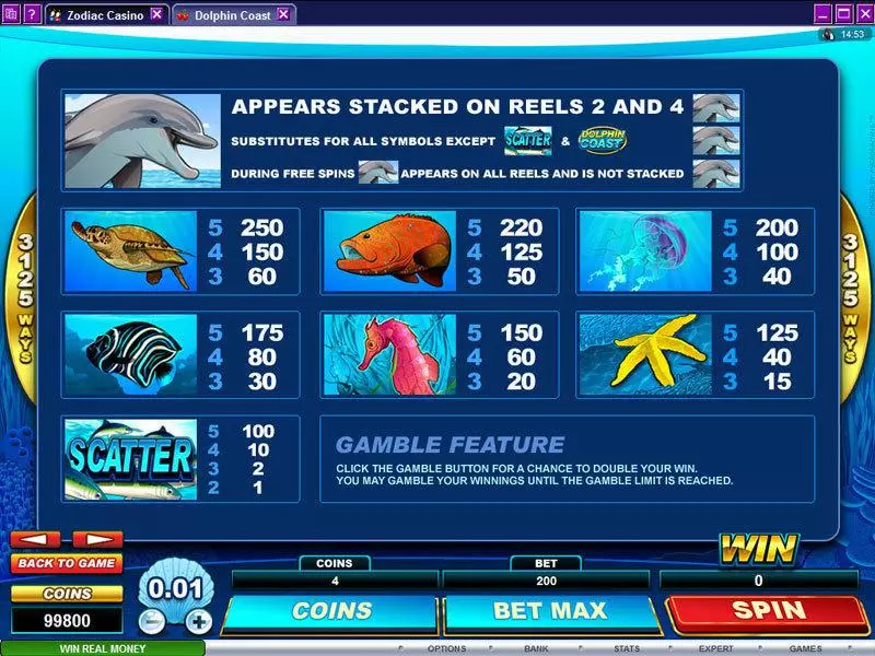 Dolphin Coast Slots made by Microgaming - Info and Rules