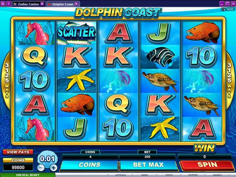 Dolphin Coast Slots made by Microgaming - Main Screen Reels