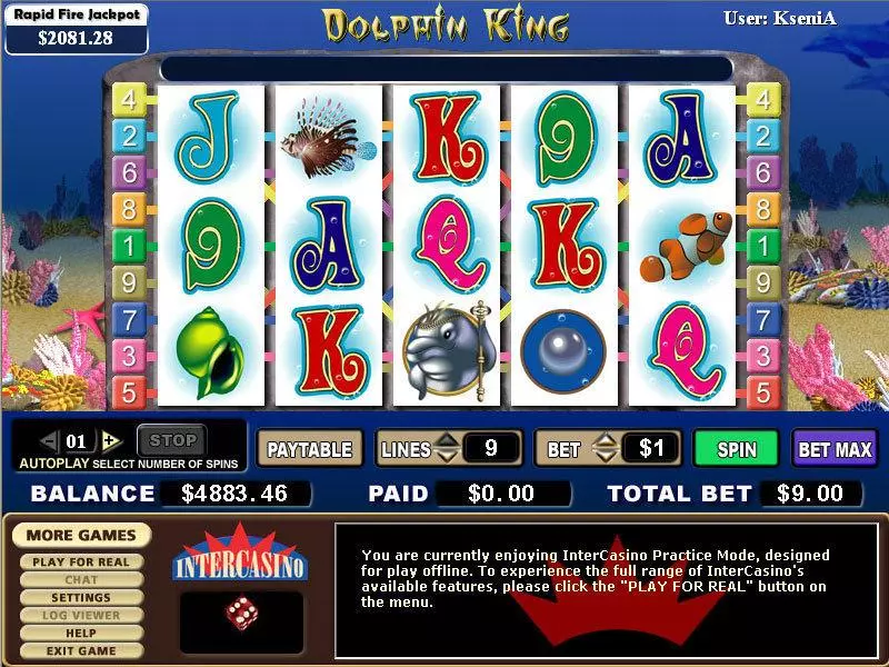 Dolphin King Slots made by CryptoLogic - Main Screen Reels