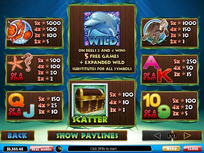Dolphin Reef Slots made by PlayTech - Info and Rules