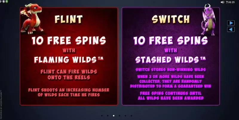 Dragonz Slots made by Microgaming - Info and Rules