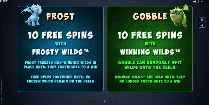 Dragonz Slots made by Microgaming - Info and Rules