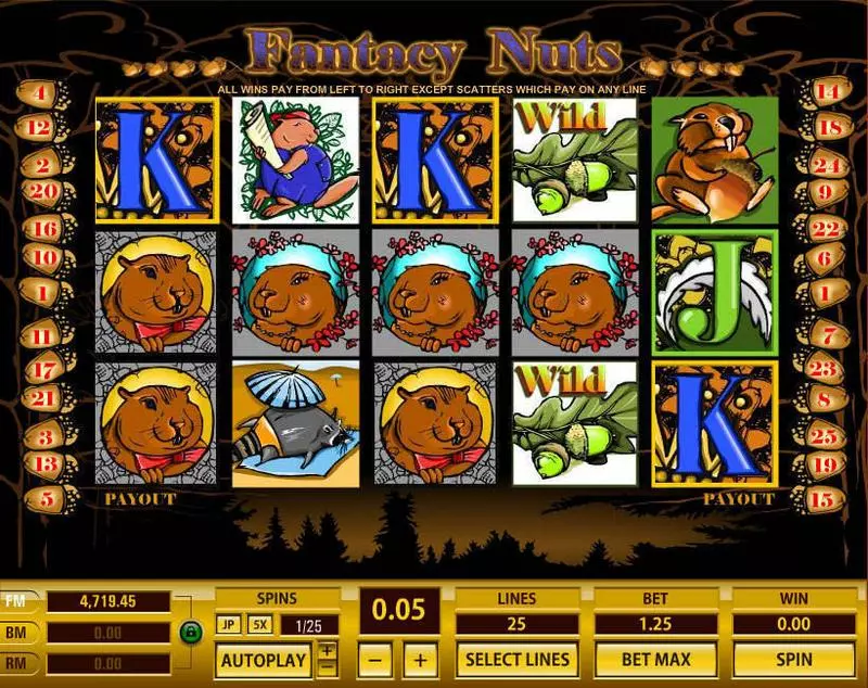 Fantacy Nuts Slots made by Topgame - Main Screen Reels