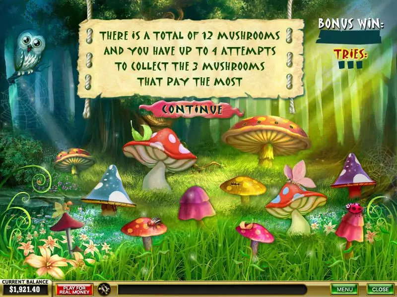 Forest of Wonders Slots made by PlayTech - Bonus 1