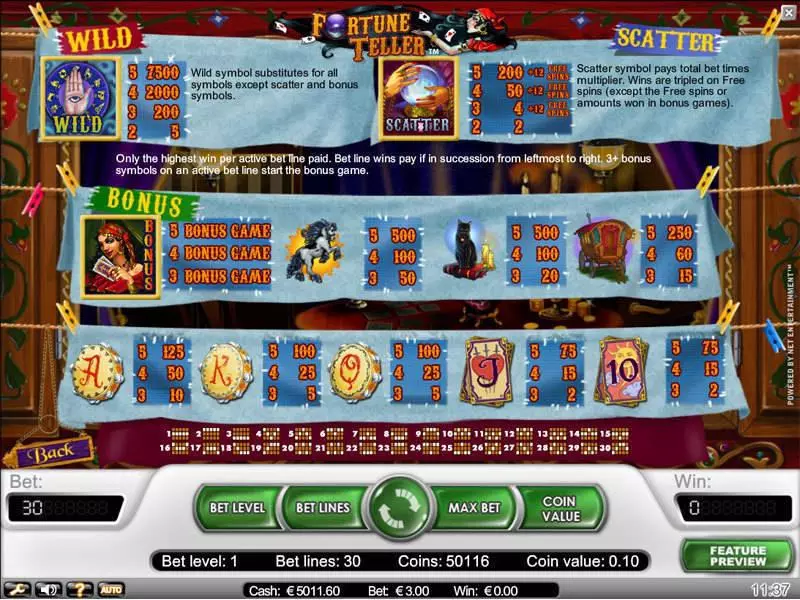 Fortune Teller Slots made by NetEnt - Info and Rules