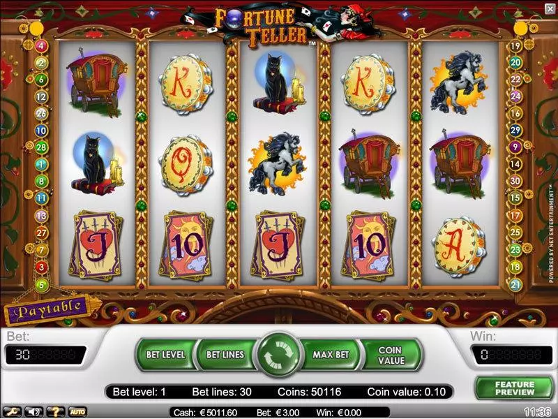 Fortune Teller Slots made by NetEnt - Main Screen Reels