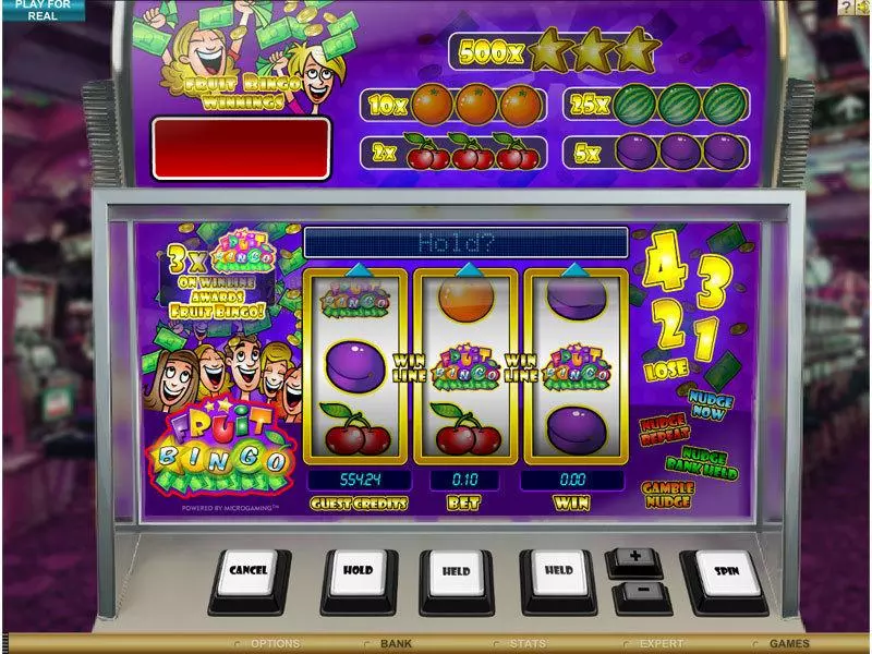 Fruit Bingo Slots made by Microgaming - Main Screen Reels