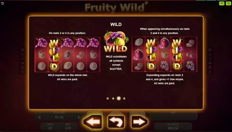 Fruity Wild Slots made by Booongo - Bonus 1