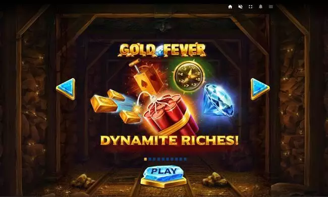 Gold Fever Slots made by Red Tiger Gaming - Bonus 2