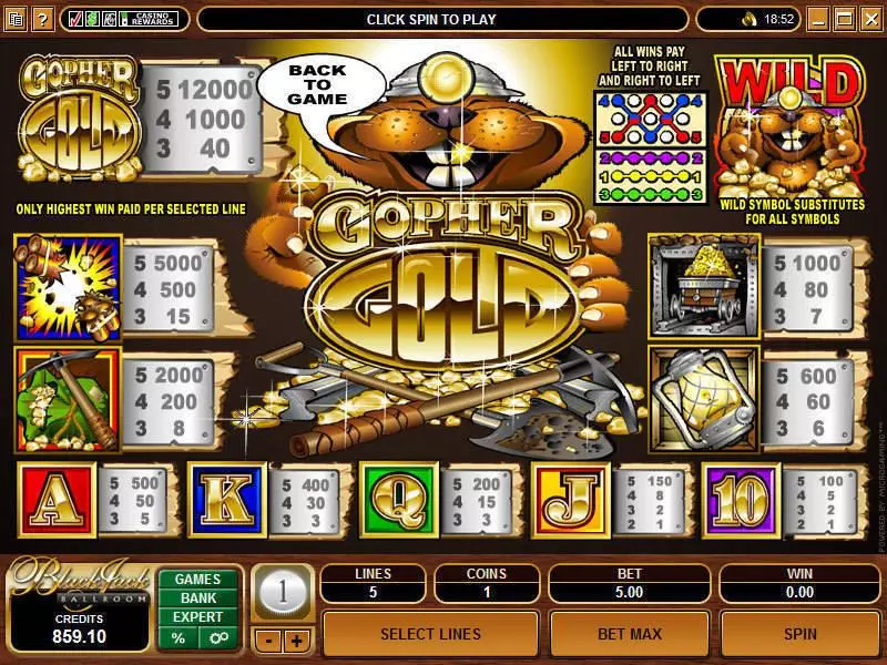 Gopher Gold Slots made by Microgaming - Info and Rules