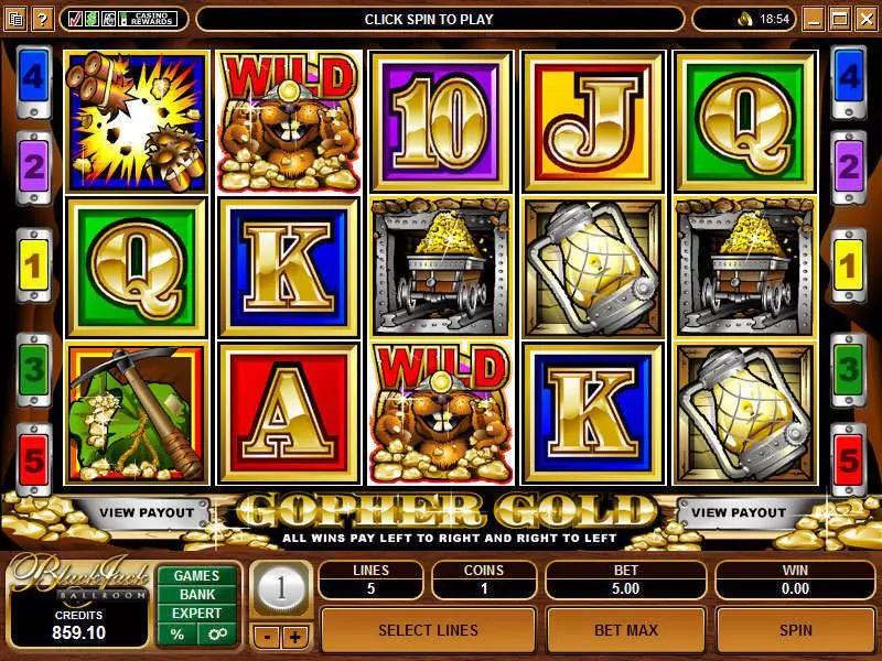 Gopher Gold Slots made by Microgaming - Main Screen Reels