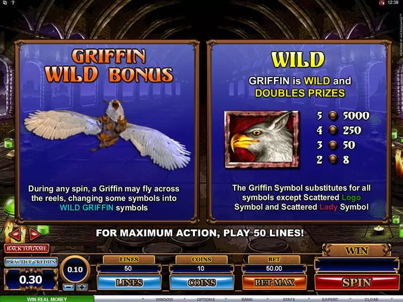 Great Griffin Slots made by Microgaming - Bonus 1