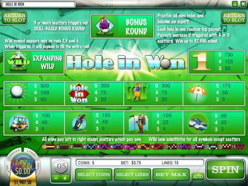 Hole in Won Slots made by Rival - Info and Rules