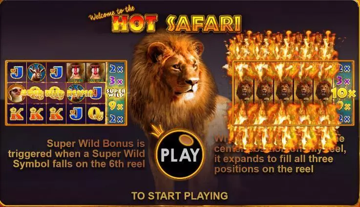 Hot Safari Slots made by Topgame - Info and Rules