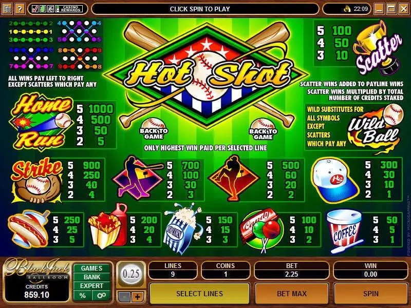 Hot Shot Slots made by Microgaming - Info and Rules
