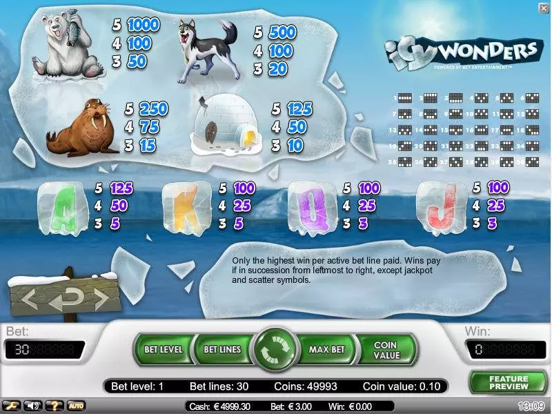 Icy Wonders Slots made by NetEnt - Info and Rules