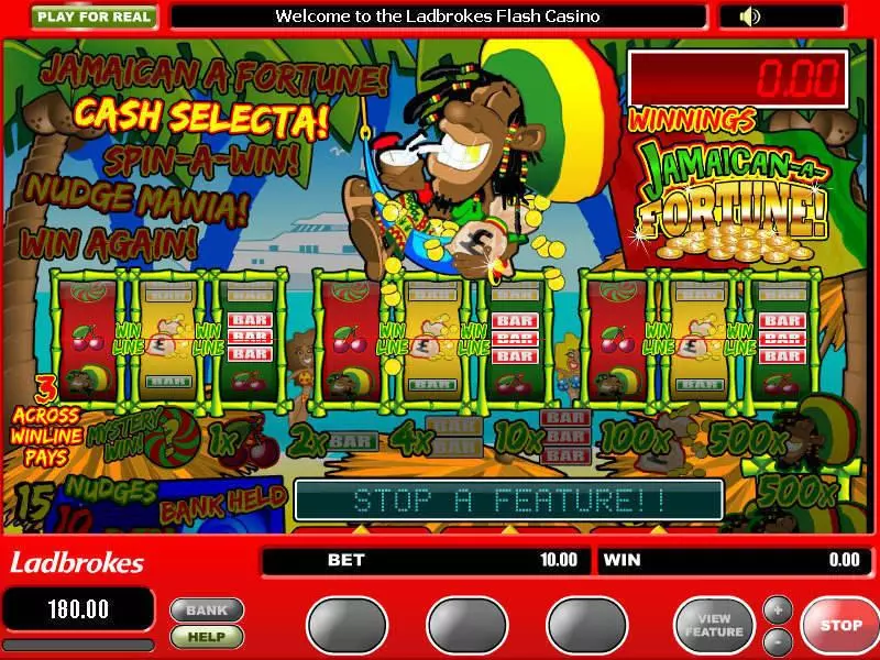 Jamaican a Fortune Slots made by Microgaming - Bonus 1