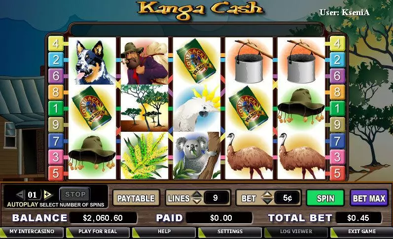 Kanga Cash Slots made by CryptoLogic - Main Screen Reels