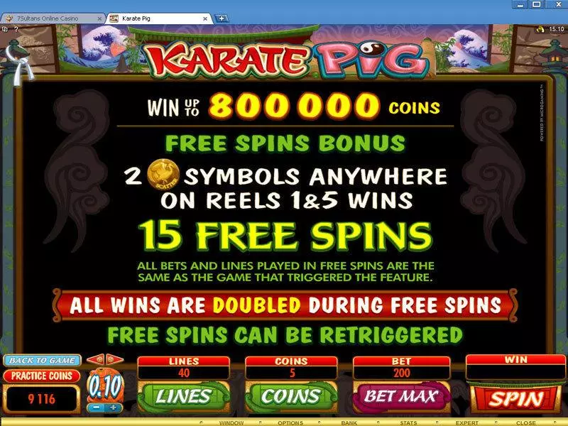 Karate Pig Slots made by Microgaming - Bonus 2