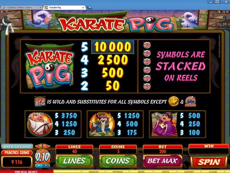 Karate Pig Slots made by Microgaming - Info and Rules