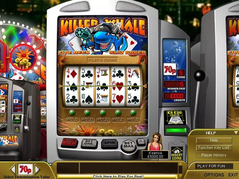 Killer Whale Poker Slots made by Boss Media - Main Screen Reels