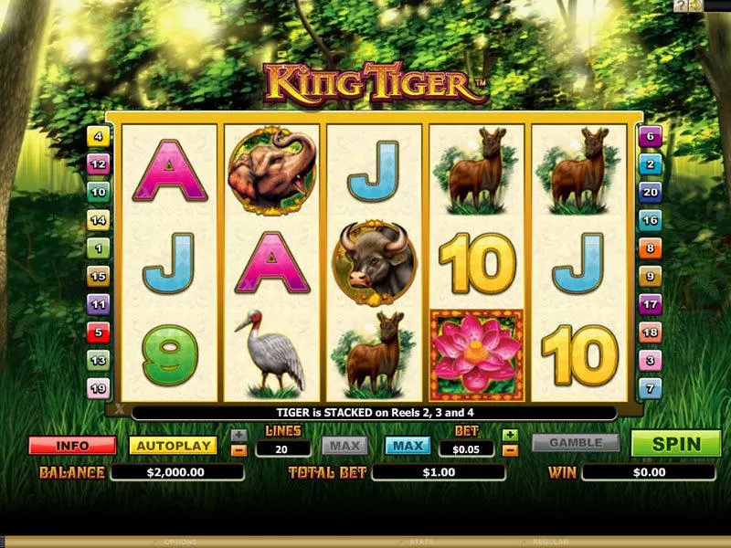 King Tiger Slots made by Microgaming - Main Screen Reels
