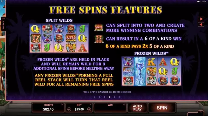 Kitty Cabana Slots made by Microgaming - Info and Rules