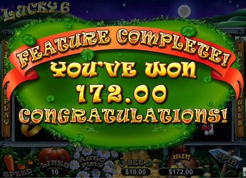 Lucky 6 Slots made by RTG - Bonus 1